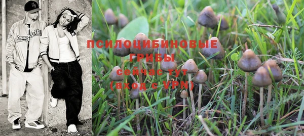 винт Долгопрудный