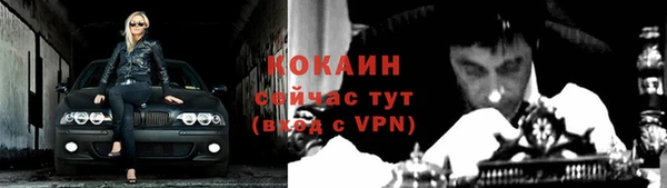 винт Долгопрудный