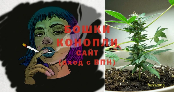винт Долгопрудный