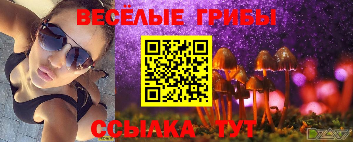 Галлюциногенные грибы GOLDEN TEACHER Апшеронск