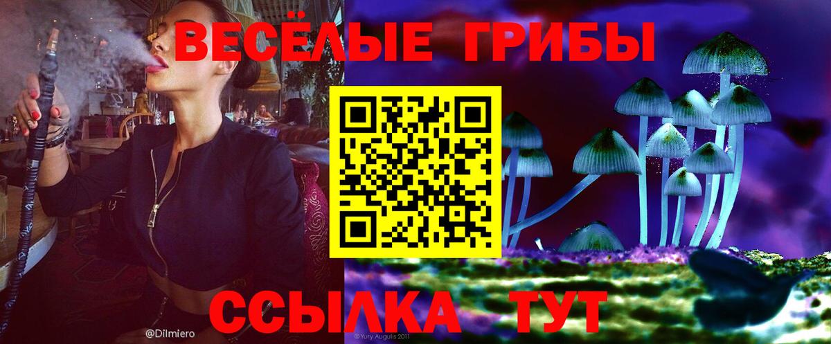 Галлюциногенные грибы Cubensis  Апшеронск 