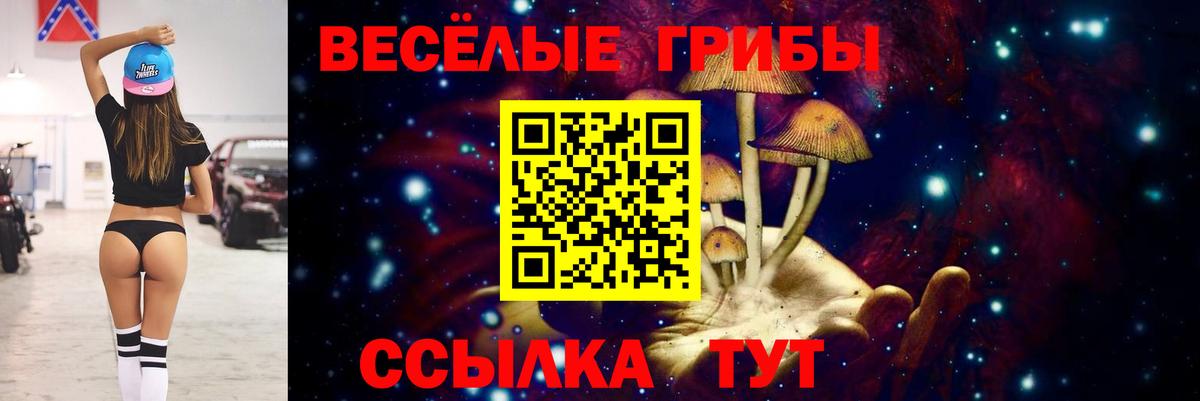 Галлюциногенные грибы Psilocybine cubensis  Вход с VPN  Апшеронск 